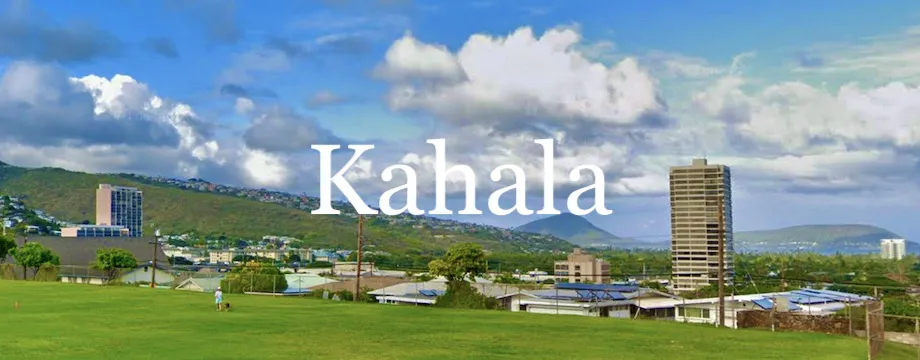 Kahala Condo Market Report