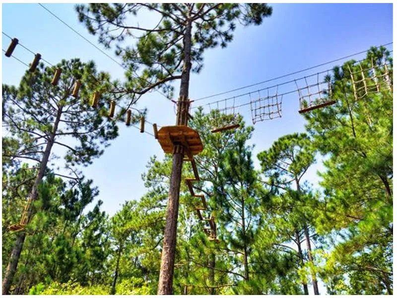 Go Ape Challenge Course