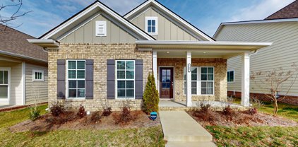 741 Goswell Dr, Nolensville