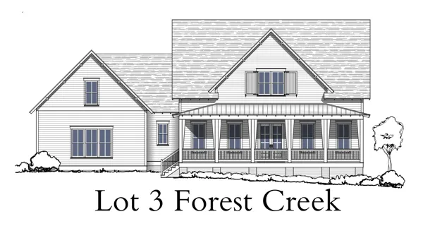 forest creek