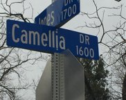 1609 Camellia Drive, Arlington image