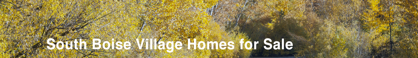 South Boise Village Homes for Sale