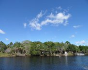 Dan May Island, Suwannee image