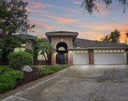 2507 Saffron Gln, Escondido image