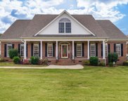 113 Hunting, Williamston image