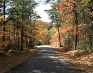 Lot 8 Laurel Hill, Landrum image