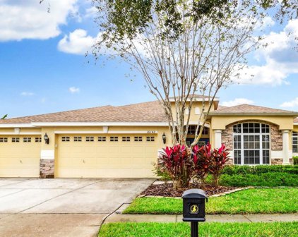 16142 Bridgepark Drive, Lithia