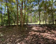 Lot 6 Mineral Springs Road, Ball Ground image