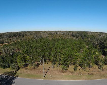 1708 Clement Road, Lutz