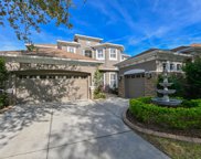 10119 Deercliff Drive, Tampa image