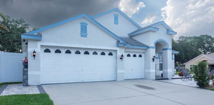 3090 Oakbrook Circle, Clearwater