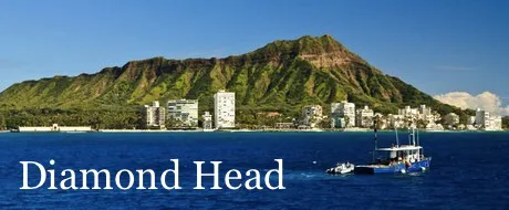 Diamond Head Real Estate