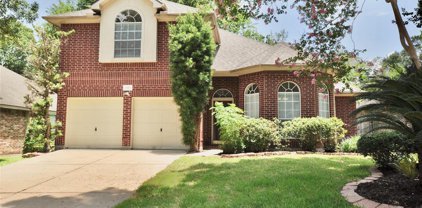 19311 Water Point Trail, Humble