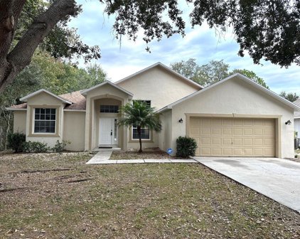 129 Imperial Oak Court, Davenport