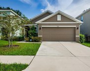 9020 Water Chestnut Drive, Temple Terrace image