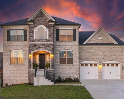 307 Ella Way, Mount Juliet