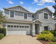 2843 Maple Brook Loop, Lutz image