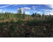 18817 E Wilkeson-Carbonado Road, Carbonado image