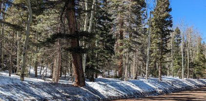 2904 Henderson Drive, Fort Garland