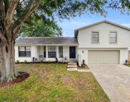 16528 Foothill Drive, Tampa image