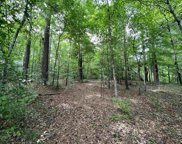 1256 Dickson Rd, Campobello image