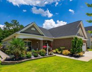 2412 Hadley Crossing, Chapin image