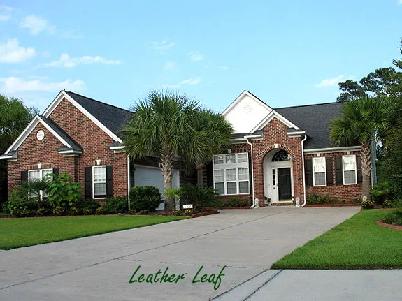 Leather Leaf Homes in Barefoot Resort