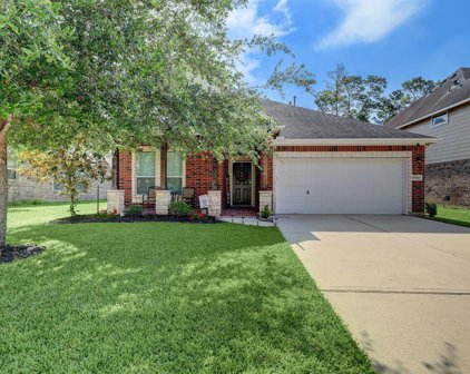 16607 River Wood Court, Crosby