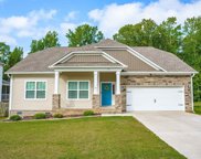 321 Saucer Way, Chapin image