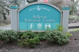 bellevue botanical gardens