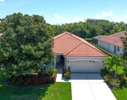 639 Misty Pond Court, Bradenton image
