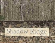 8515 Scenic Ridge Drive Unit 40, Pinson image