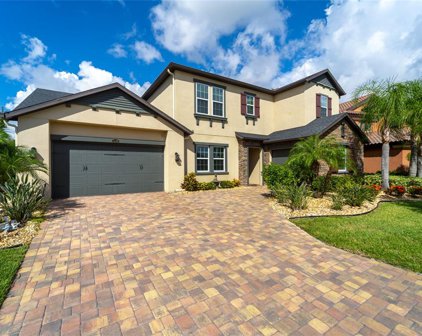 13240 Fawn Lily Drive, Riverview