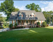 8204 Cedar Mountain Road, Pinson image