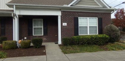 2053 George Buchanan Dr, La Vergne
