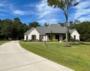 519 E Windermere Chase E, Madisonville image