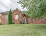6604 Silver Lace Ct, Louisville image
