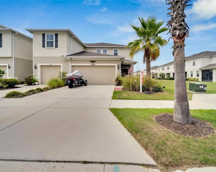 10846 Verawood Drive, Riverview
