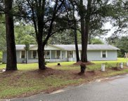 17725 Taylor Road, Citronelle image