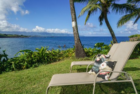 Waimea Bay View 