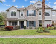 2611 Ponkan Meadow Drive, Apopka image