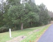 2174 Meadow Forest  Drive, Wildwood image