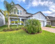 11428 Chilly Water Court, Riverview image