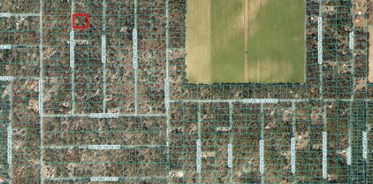 00 Sw Arrow Leaf Trail, Dunnellon