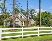 114 Rucker  Road, Mandeville image
