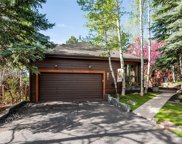 29906 Troutdale Park Place, Evergreen image