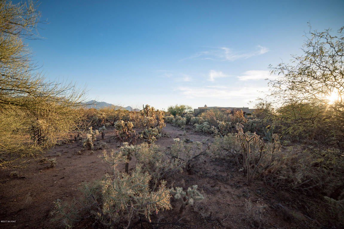 867 S Madera Reserve Unit 197, Green Valley, 85614