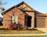 22917 Downing Park Circle, Mccalla image