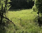17.63 Acres Biglow Hill Rd, Clyde image
