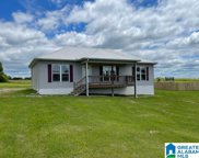 1021 Holt Circle, Hayden image